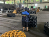 SUMITOMO Excavator Track Chain